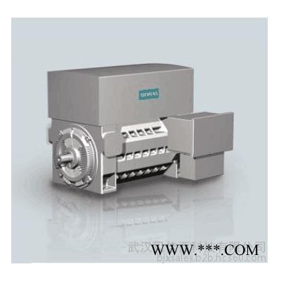 Siemens/西门子高压电机图5