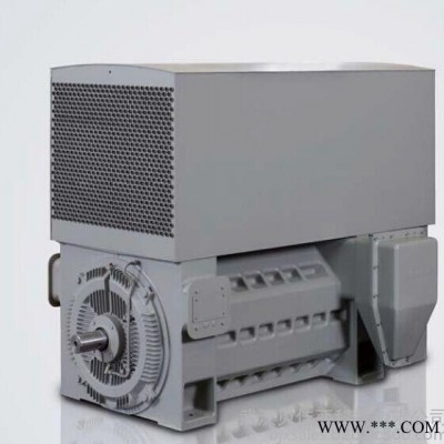 Siemens/西门子高压电机图3