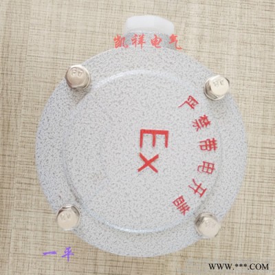 凯祥电气**AH系列防爆接线盒防爆穿线盒DN25一平直平三平四平角平G1一吊直吊三吊四吊角吊图1