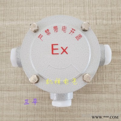 凯祥电气**AH系列防爆接线盒防爆穿线盒DN25一平直平三平四平角平G1一吊直吊三吊四吊角吊图8
