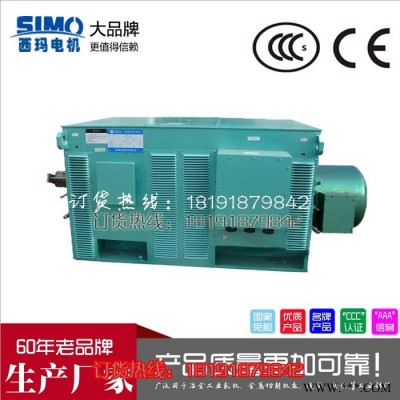 西安西玛电机YR5001-4 630KW 10KV IP23破碎机绕线型高压电机图5