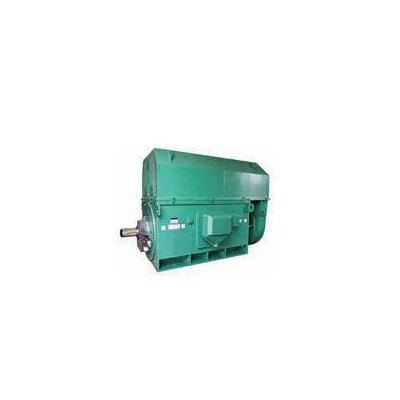 高压电机型号YKS系列YKS5003-2 1400KW 6KV三相异步电动机图2