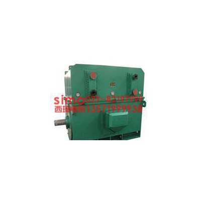 西玛牌高压电机YKS6302-10  900KW 10KV 三相异步电动机图2