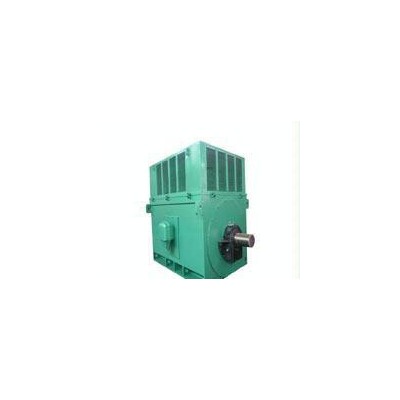 矿山用高压电机 Y系列Y5007-10 500KW 6KV 三相异步电动机图2