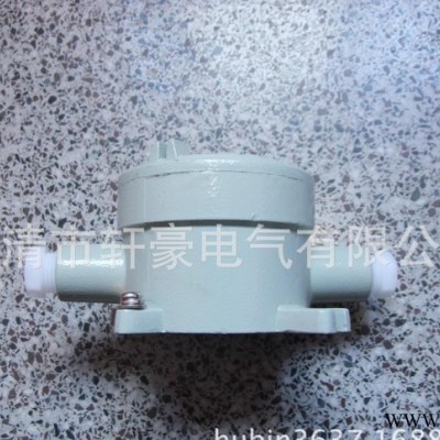 供应轩豪6分防爆接线盒AH G3/4 CT6图1