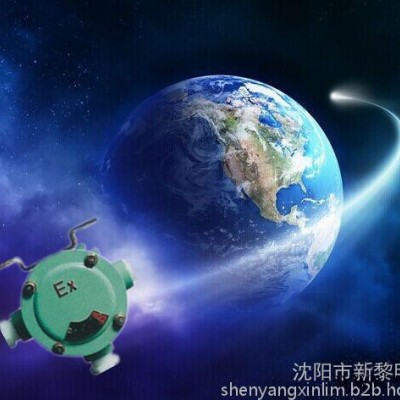 BHD51防爆吊灯接线盒-芜湖#8203;-会使人觉得必然的胜利途中=-化工厂）#8203;BHD51防爆吊灯接线盒
