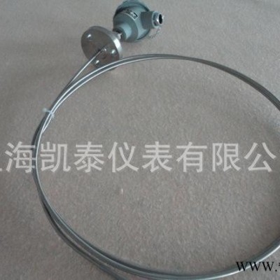 普通铠装热电偶WRNK-431热电阻/普通防爆接线盒/热卖6图2