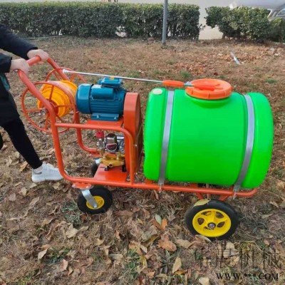 家庭用电机带消毒机 手推汽油打药机 华晨推车式汽油喷雾器图2