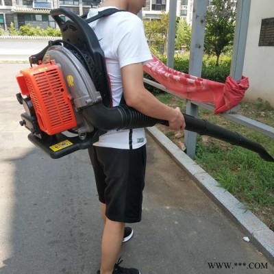 侧挂式吹风机 缝隙灰尘吹风机 二冲程吹风机 汽油吹风机报价 吹风机图7