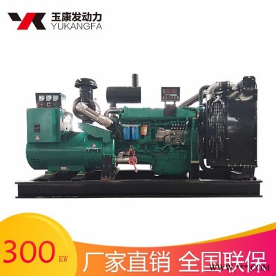 300kw柴油发电机组 四川成都机场火车站汽车站备用电源图3