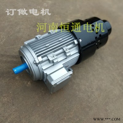 千业牌进口电机  进口电机国产改造 进口马达图4
