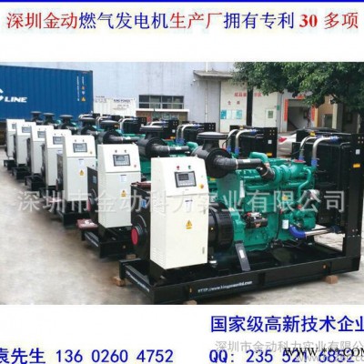 【全国联保】500KW进口燃气发电机,深圳燃气发电机生产厂家 深圳金动燃气发电机图4