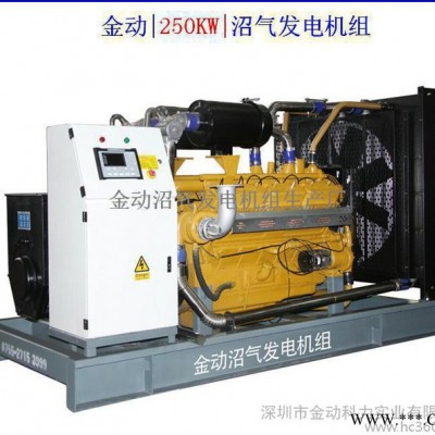 【全国联保】500KW进口燃气发电机,深圳燃气发电机生产厂家 深圳金动燃气发电机图1