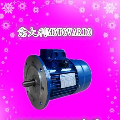 摩多利进口电机MOTOVARIO原装进口马达图3