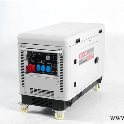 欧洲狮进口8kw柴油发电机厂家图7
