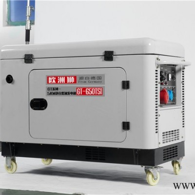 欧洲狮进口8kw柴油发电机厂家图2