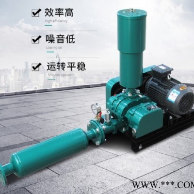 罗茨风机 环保风机 污水处理曝气供氧风机图2