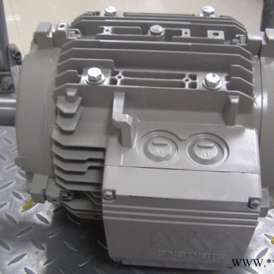 Siemens/西门子电机 低压电机1LE1001-0DB32-2FA4-ZF01北京中能联华进口电机