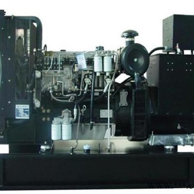 Perkins/帕金斯 180KW柴油发电机组价格厂家供应 180KW1506A-E88TAG2进口发电机组供应图4