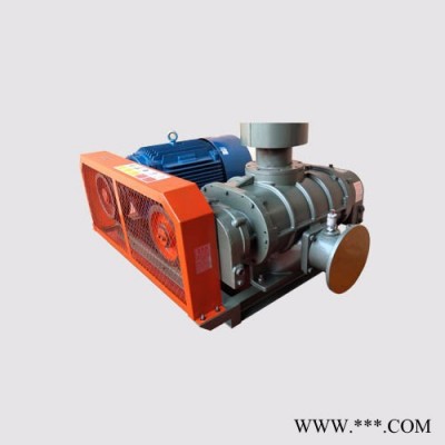 YGSR-150A罗茨风机  气力输送风机  水产养殖风机  风机图2