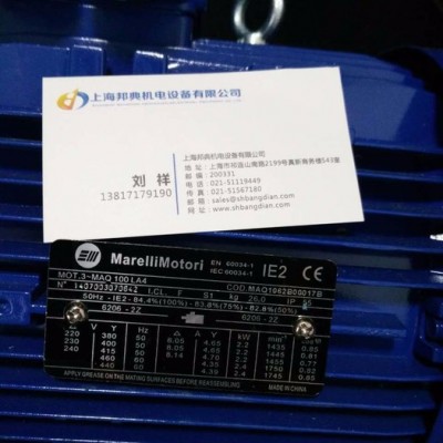马拉利（Marellimotori ）电机MAQ 100LA4，原装进口，品质保证 上海邦典机电设备有限公司图1