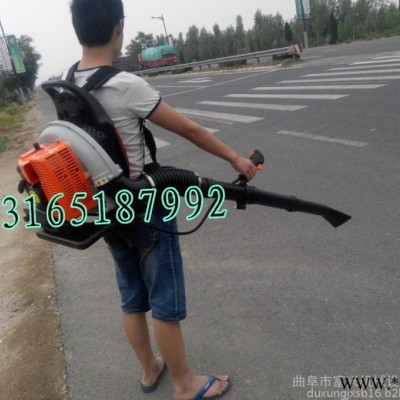 汽油吹风机  工业吹风机  背负式吹风机价格图1