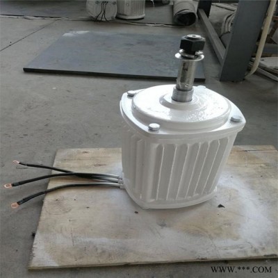 德州蓝润供应  低速永磁发电机500W  220V永磁同步发电机  发电机图3