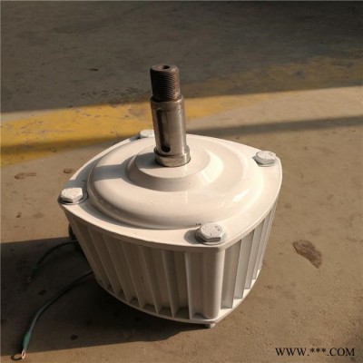 德州蓝润供应  低速永磁发电机500W  220V永磁同步发电机  发电机图4