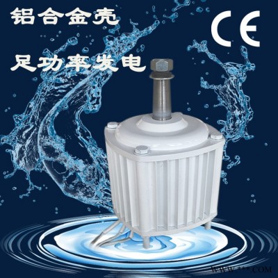 云南水富晟成50kw发电机 发电机电机纯铜发电机图5