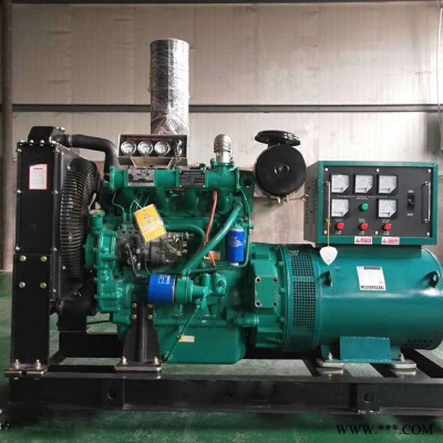 程煤备用发电机 0kw50kw大型柴油发电机组 50千瓦备用发电机 50kw柴油发电机组移动柴油发电机发电机 发电机组图2