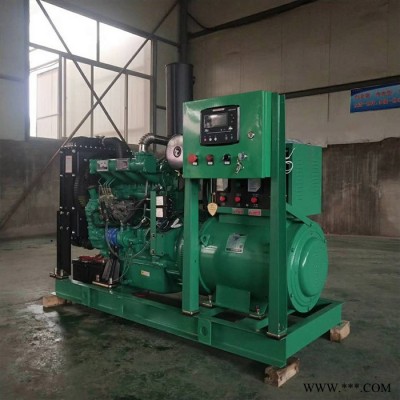 程煤备用发电机 0kw50kw大型柴油发电机组 50千瓦备用发电机 50kw柴油发电机组移动柴油发电机发电机 发电机组图7