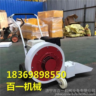 供应道路清理吹风机 手推式吹风机图1