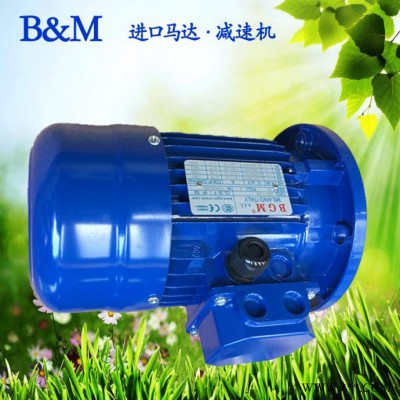 苏州销售意大利BGM马达，进口电机马达，BM100L2-3KW电机图1