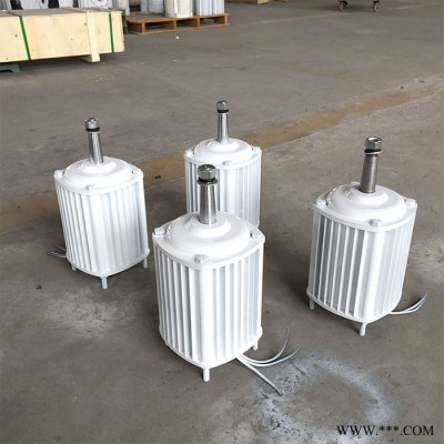 晟成1000W48V永磁发电机家用小型低速发电机图2