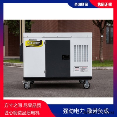 定制柴油发电机,20KW柴油发电机,大泽动力发电机图4