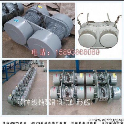 中冶振动电机与进口相** WHZY-2*30-4图2