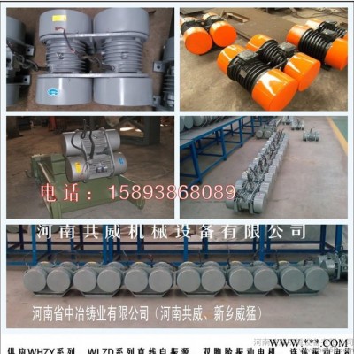 中冶振动电机与进口相** WHZY-2*30-4图3