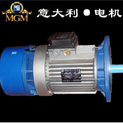 意大利原装进口刹车电机MGM电磁制动电机0.75KW高效节能电机图3