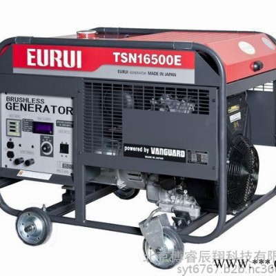 EURUI东洋发电机TSN16500E 日本原装进口图3