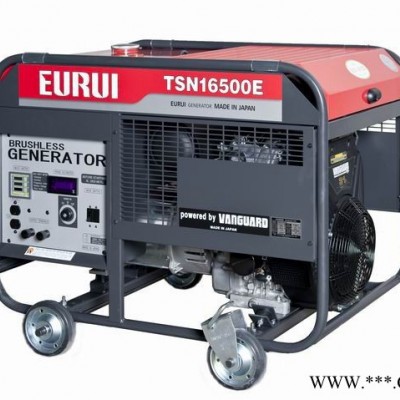 EURUI东洋发电机TSN16500E 日本原装进口图2