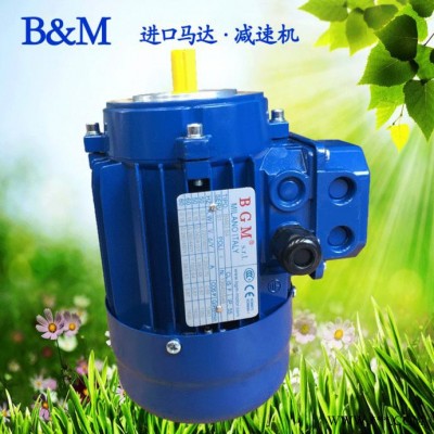 代理销售意大利BGM马达，进口电机马达，BM63B4-0.18KW电机图1