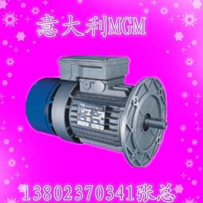 MGM原装进口刹车电机BA100L2-4-3KW图1