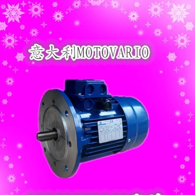T100LA-4-2.2KW意大利MOTOVARIO进口电机东莞深圳珠海现货图2