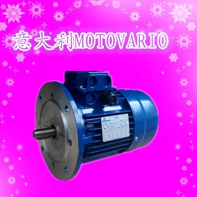 T100LA-4-2.2KW意大利MOTOVARIO进口电机东莞深圳珠海现货图3