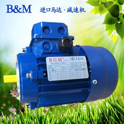 北京销售意大利BGM马达，进口电机马达，BM71A4-0.25KW电机图2