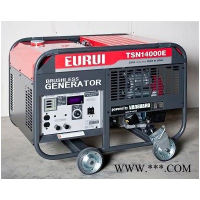 EURUI日本原装进口东洋发电机组TSN14000E图3