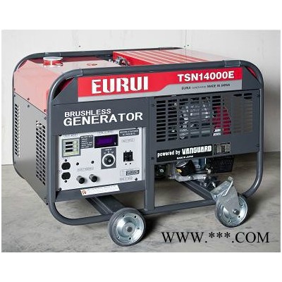 EURUI日本原装进口东洋发电机组TSN14000E