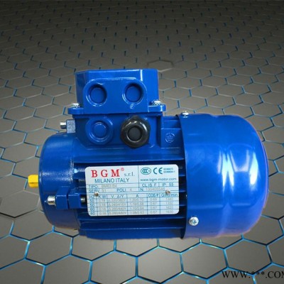 苏州代理意大利B&M电机  原装进口刹车电机 BMD132M-4-B5图3