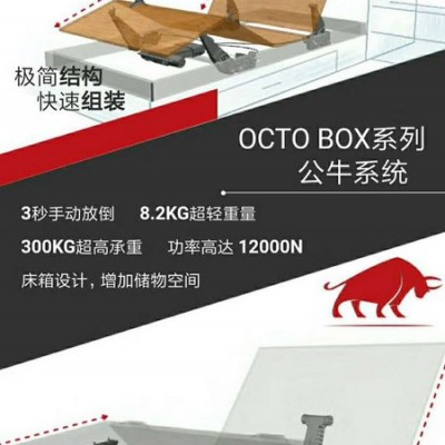 德国OCTO进口电机图2