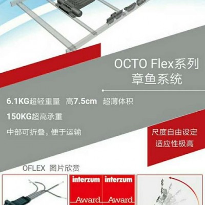 德国OCTO进口电机图4